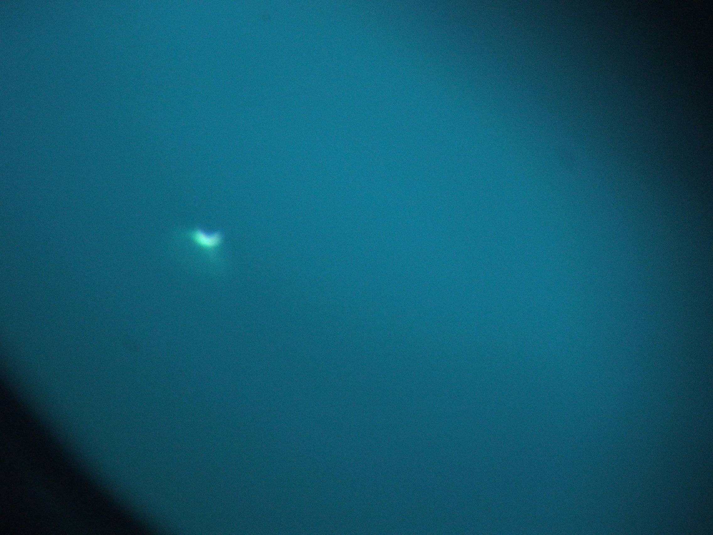 DSCF2225.JPG