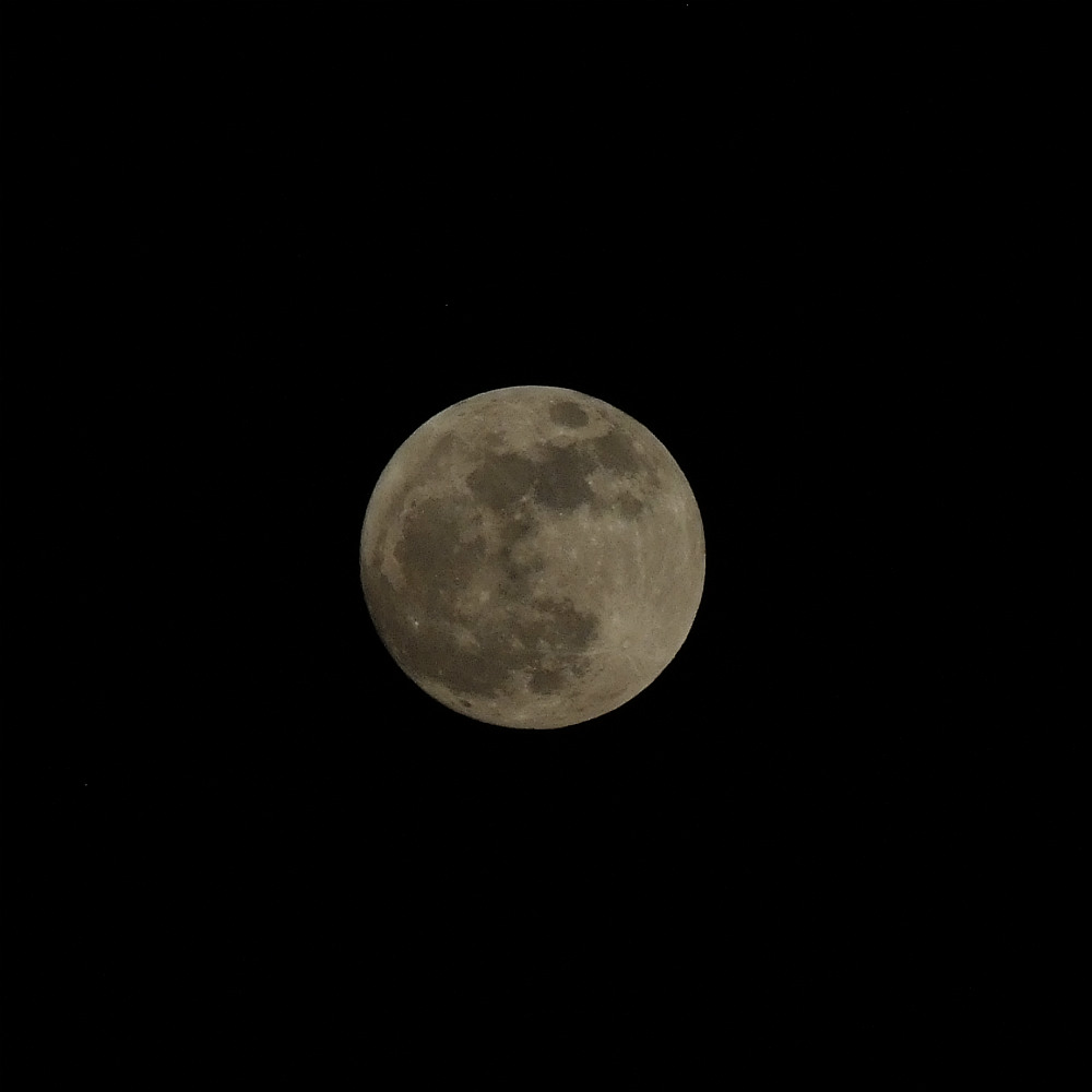 DSCF2259.JPG