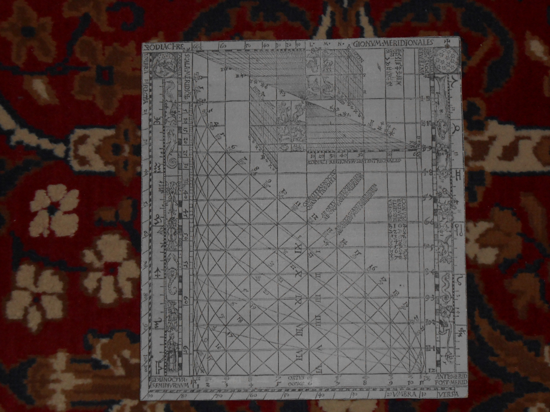 DSCN0261.JPG