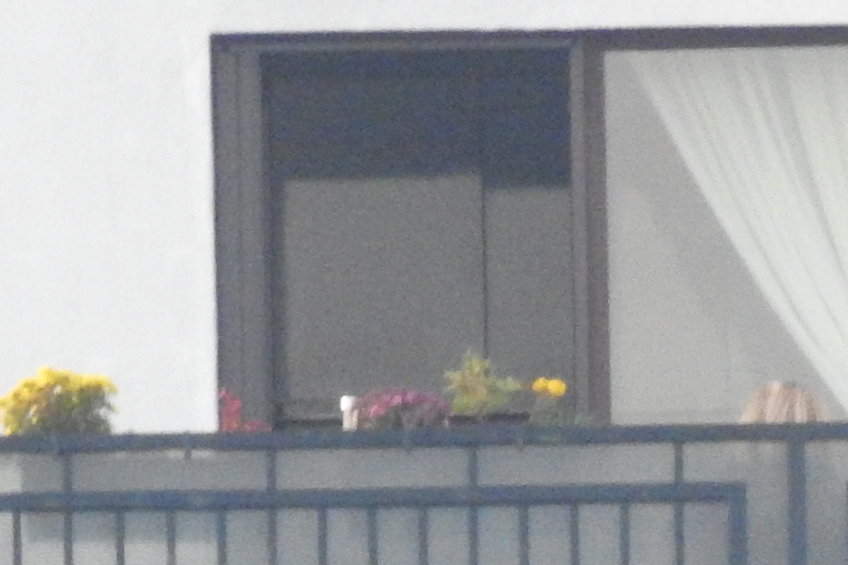 DSCN0305.c.JPG