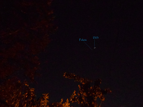 DSCN6379.JPG