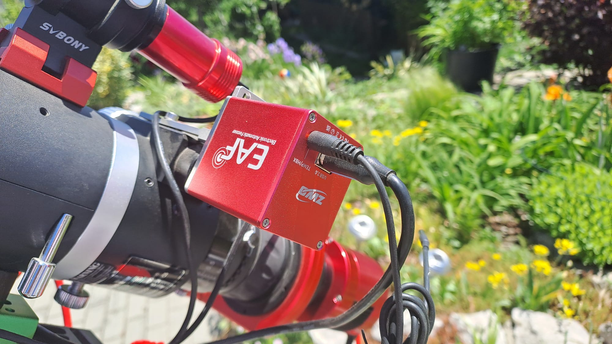 EAF.jpg