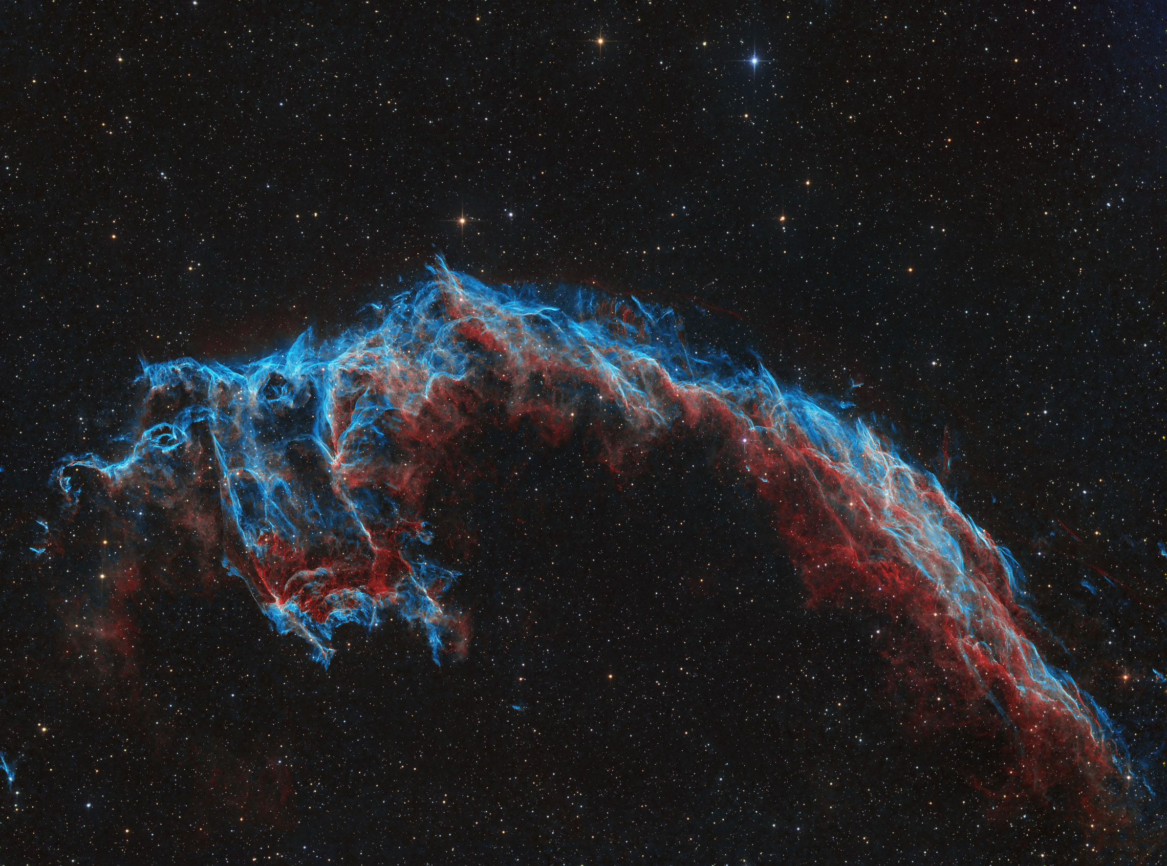 Eastern Veil_HOO_repro2.jpg