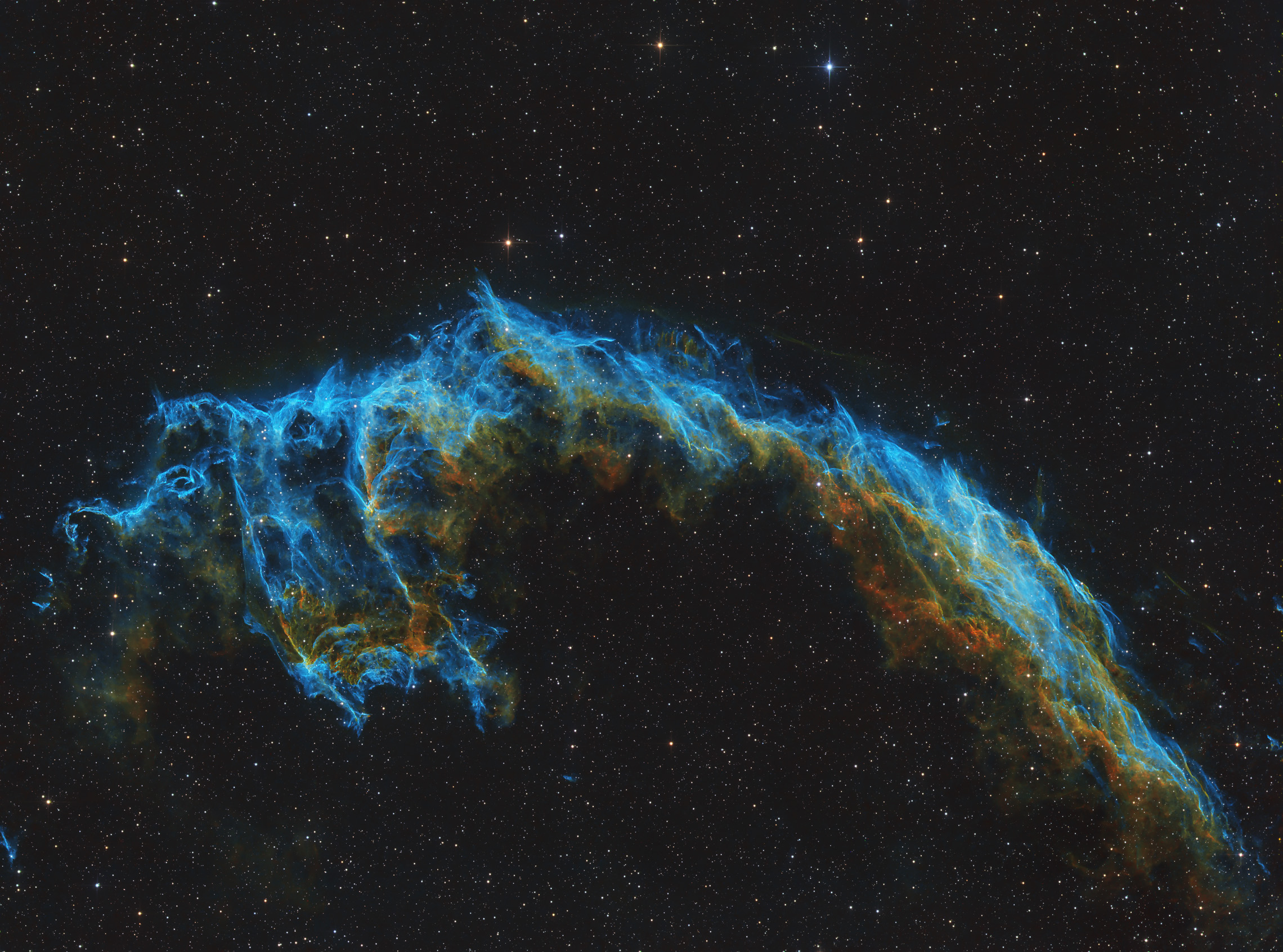 Eastern Veil_SHO_repro.jpg