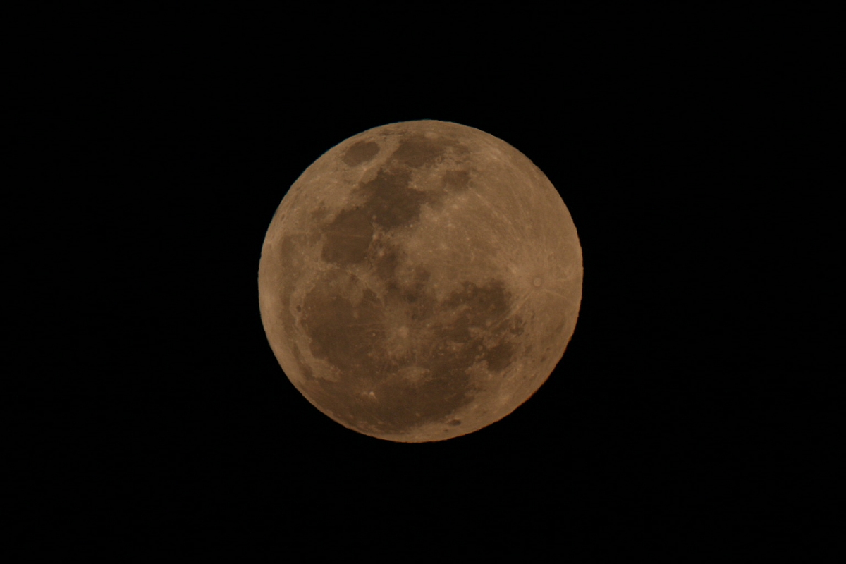 eclipsa_1959.jpg
