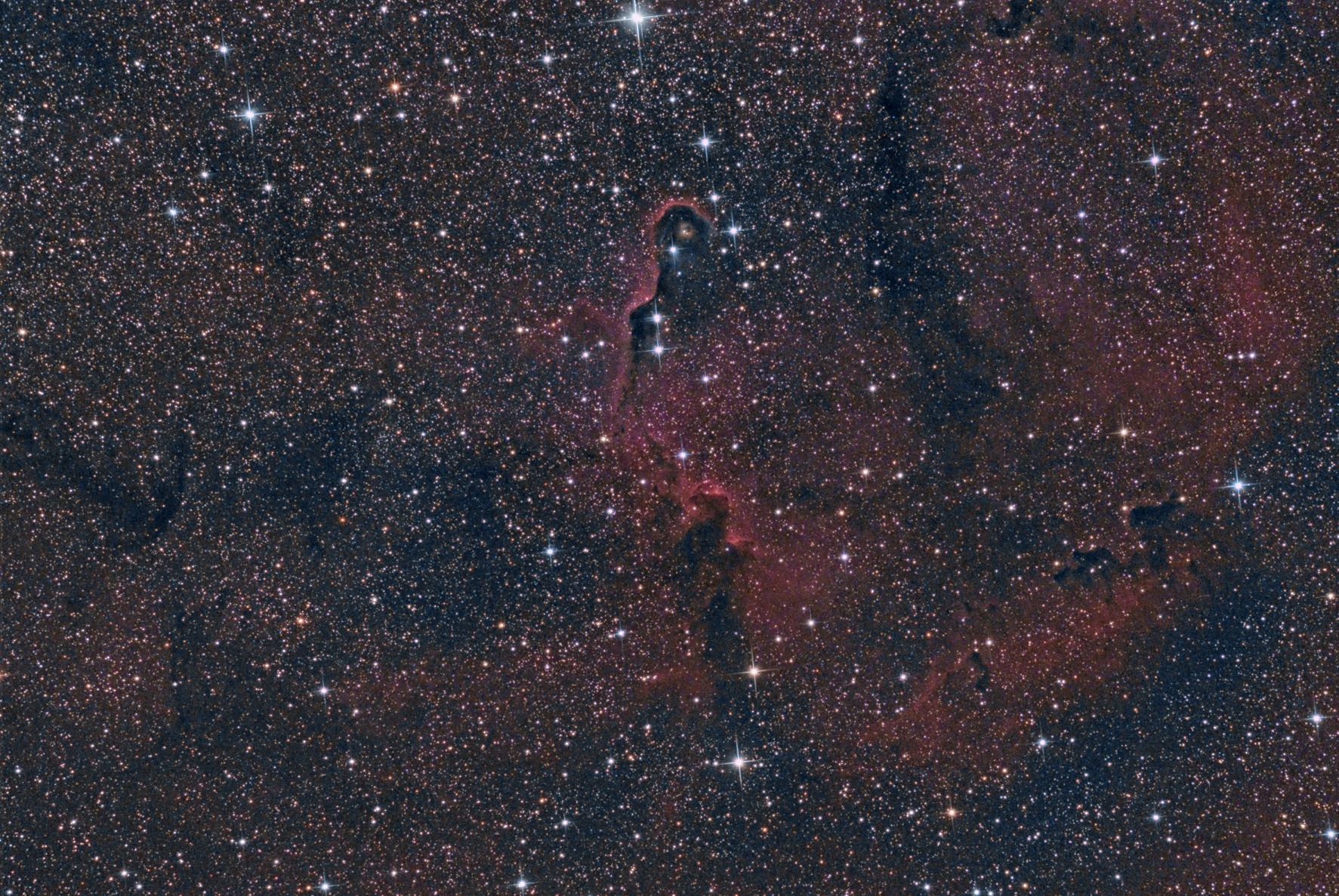 Elephant Trunk RGB.jpg