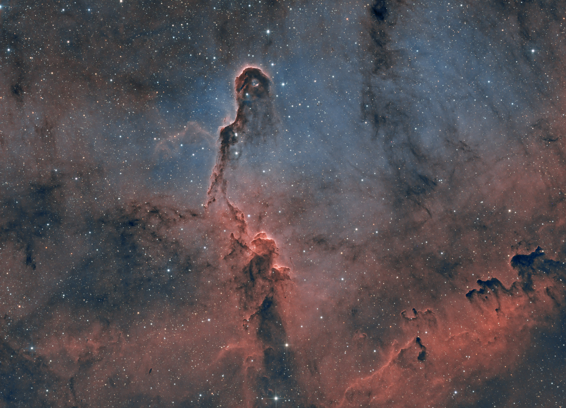 Elephant's Trunk_HOO+OSC stars.jpg