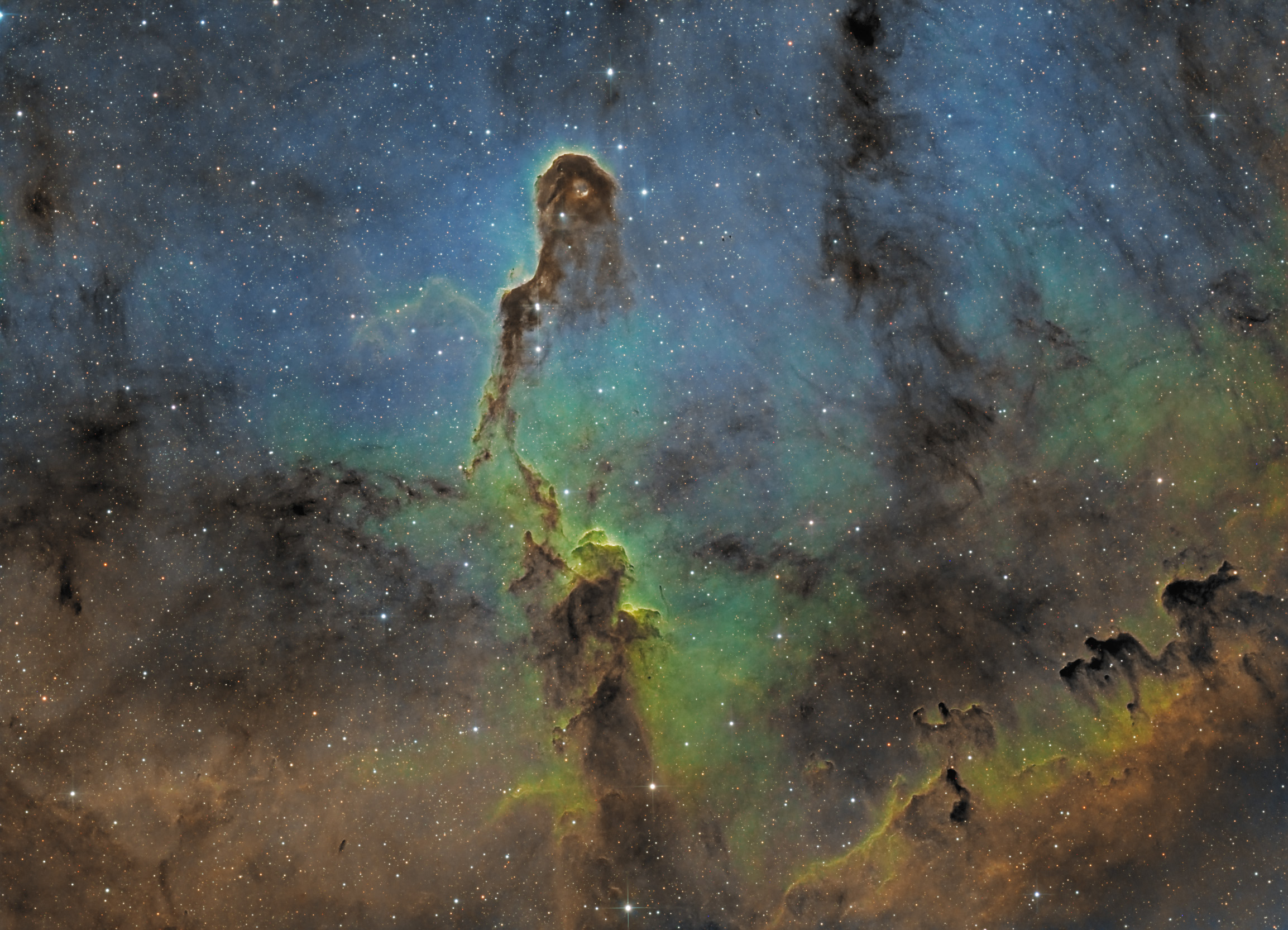 Elephant's Trunk Nebula_SHO.jpg