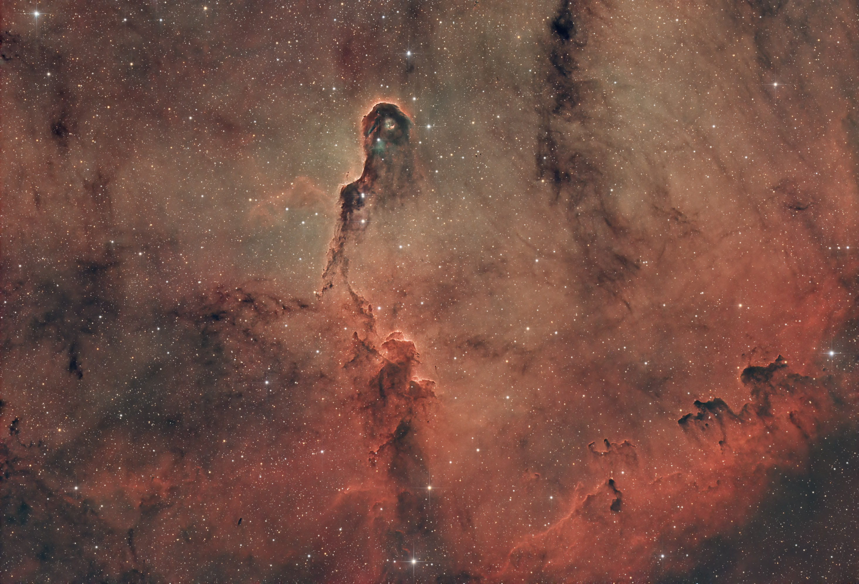 Elephant's Trunk Nebula_v3.jpg