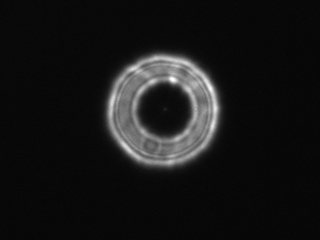 Extrafocal.JPG