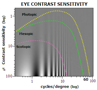 eye_contrast.PNG