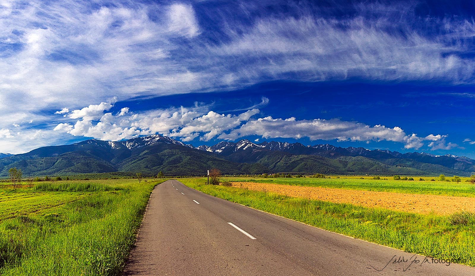 fagaras_01web.jpg