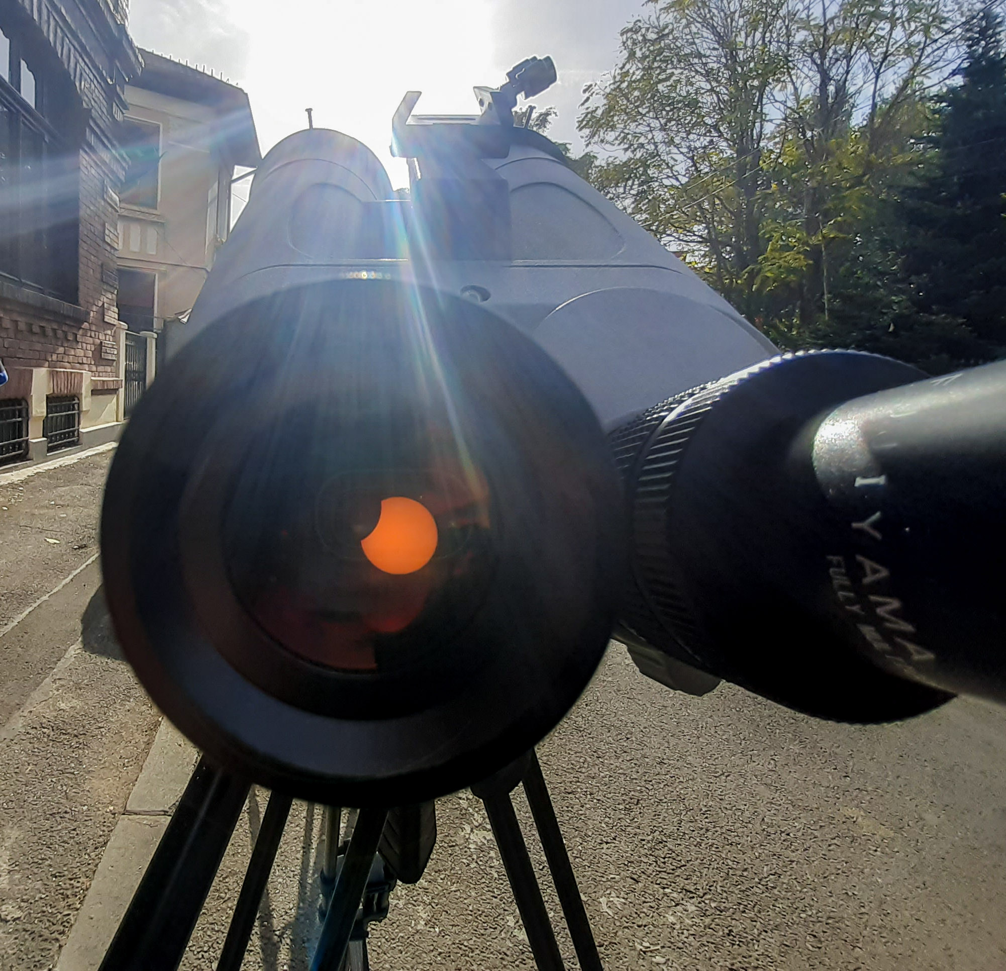 Fregata indreptata spre Soare.jpg