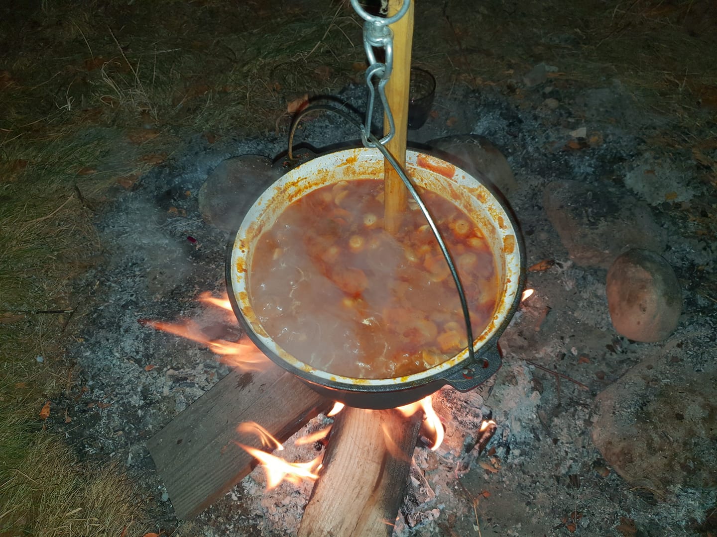 gulas astro.jpg