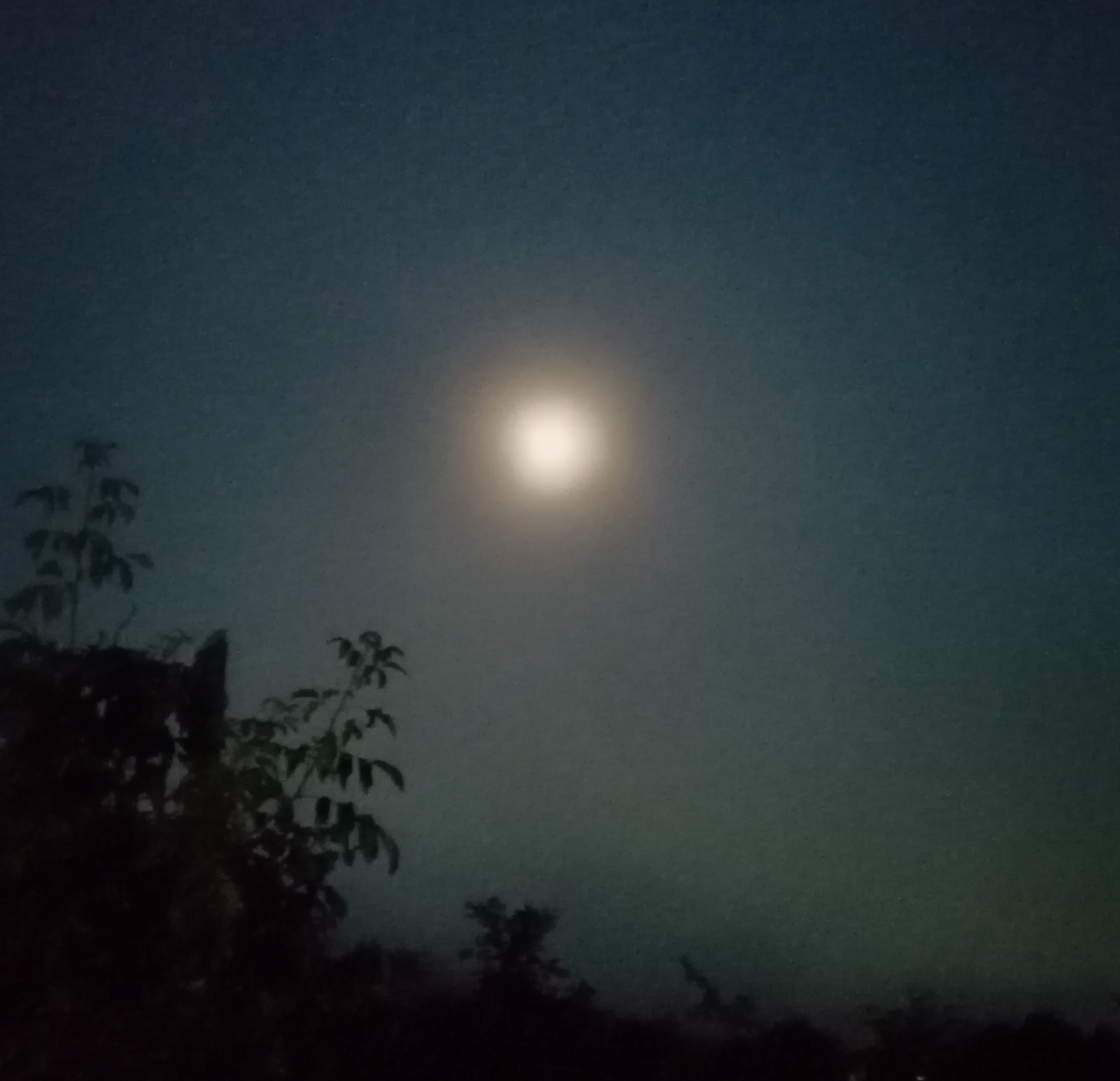 halou_luna01.jpg