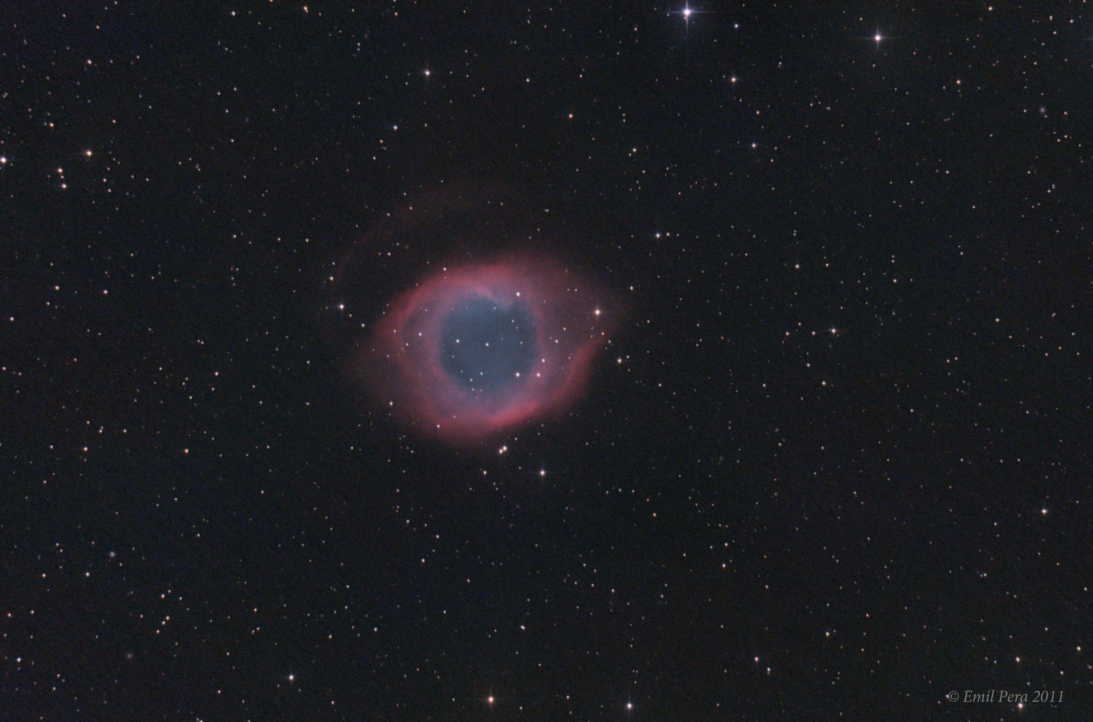 Helix__pera_2011.jpg