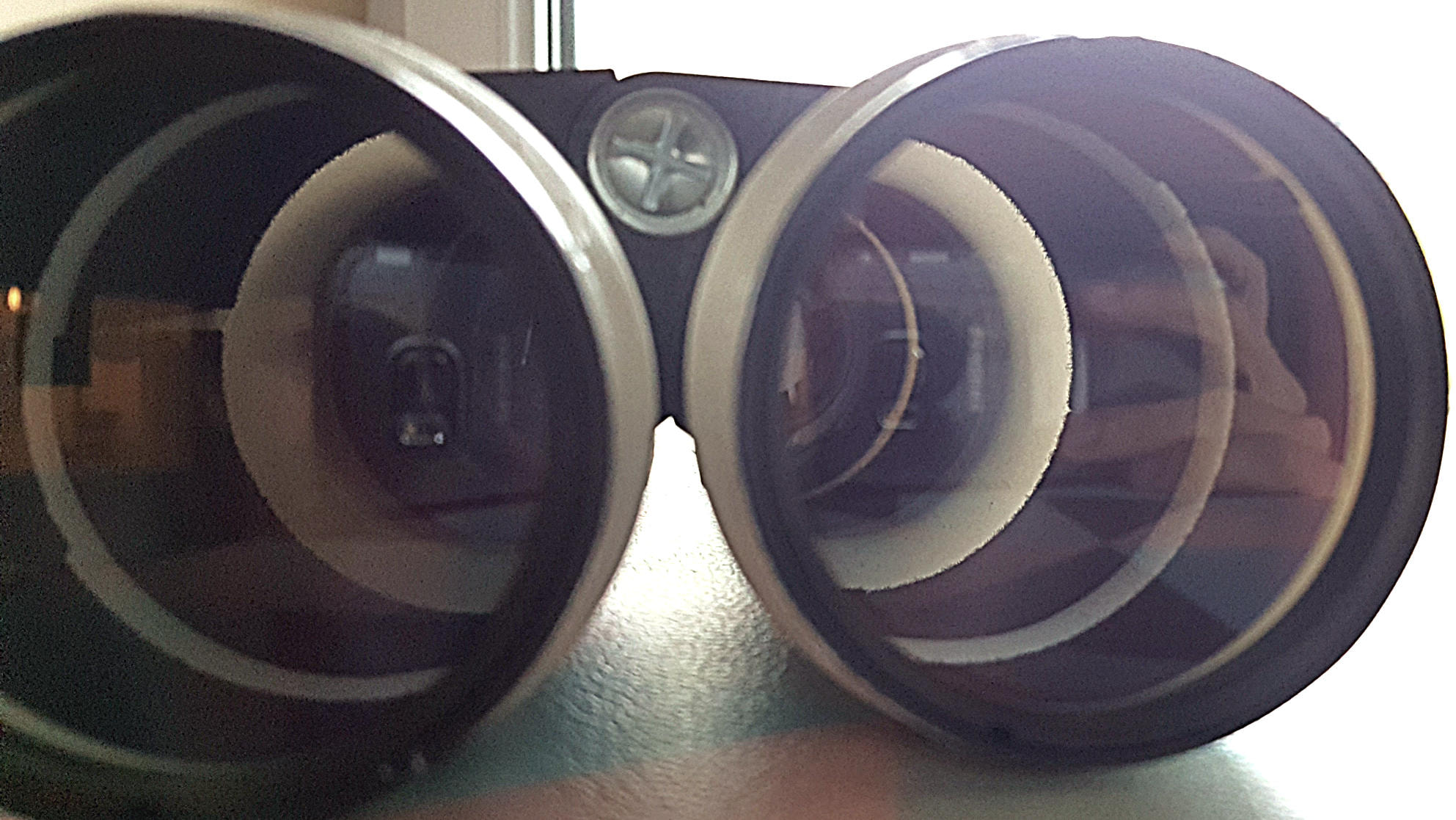 homemade-binoculars_6.jpg