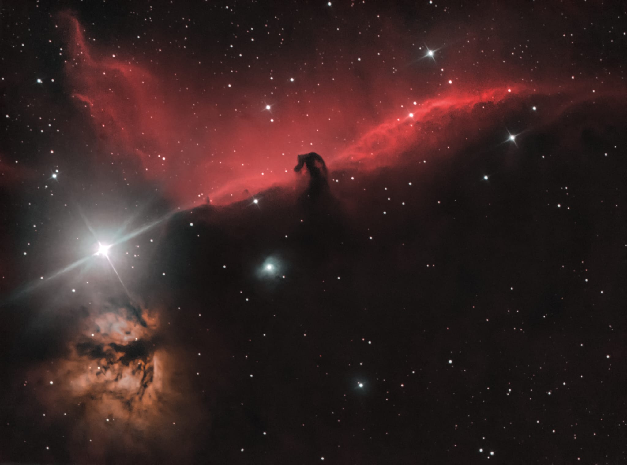 horsehead.jpg