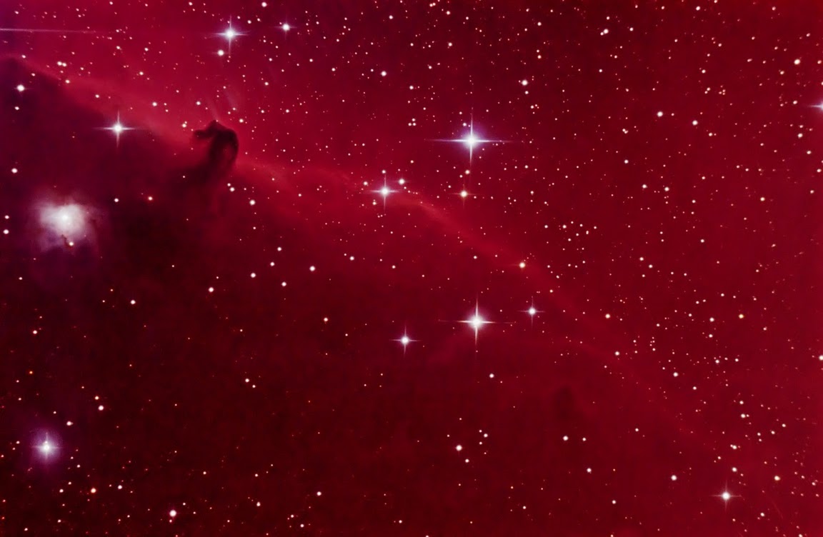 Horsehead.jpg