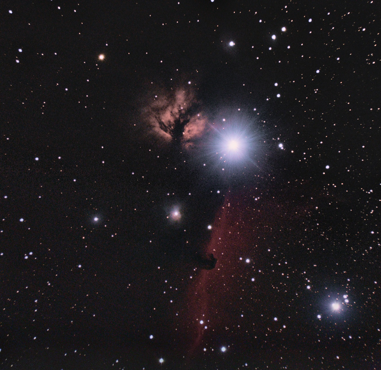 horsehead-color2-ps2.jpg