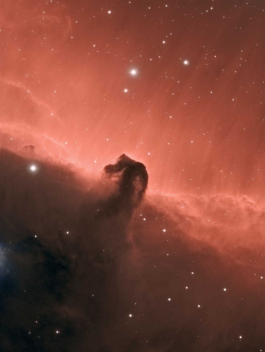 Horsehead_final.jpg