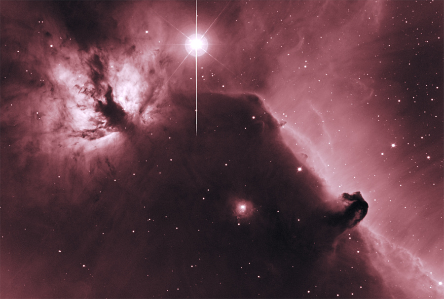 Horsehead flame Tudorica - Muelheims.jpg