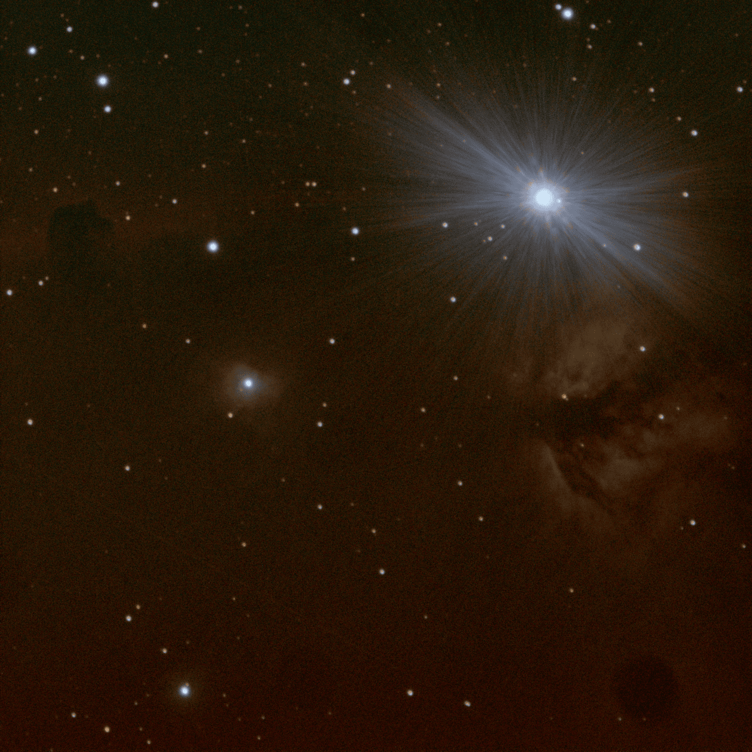 horsehead-min(1).png