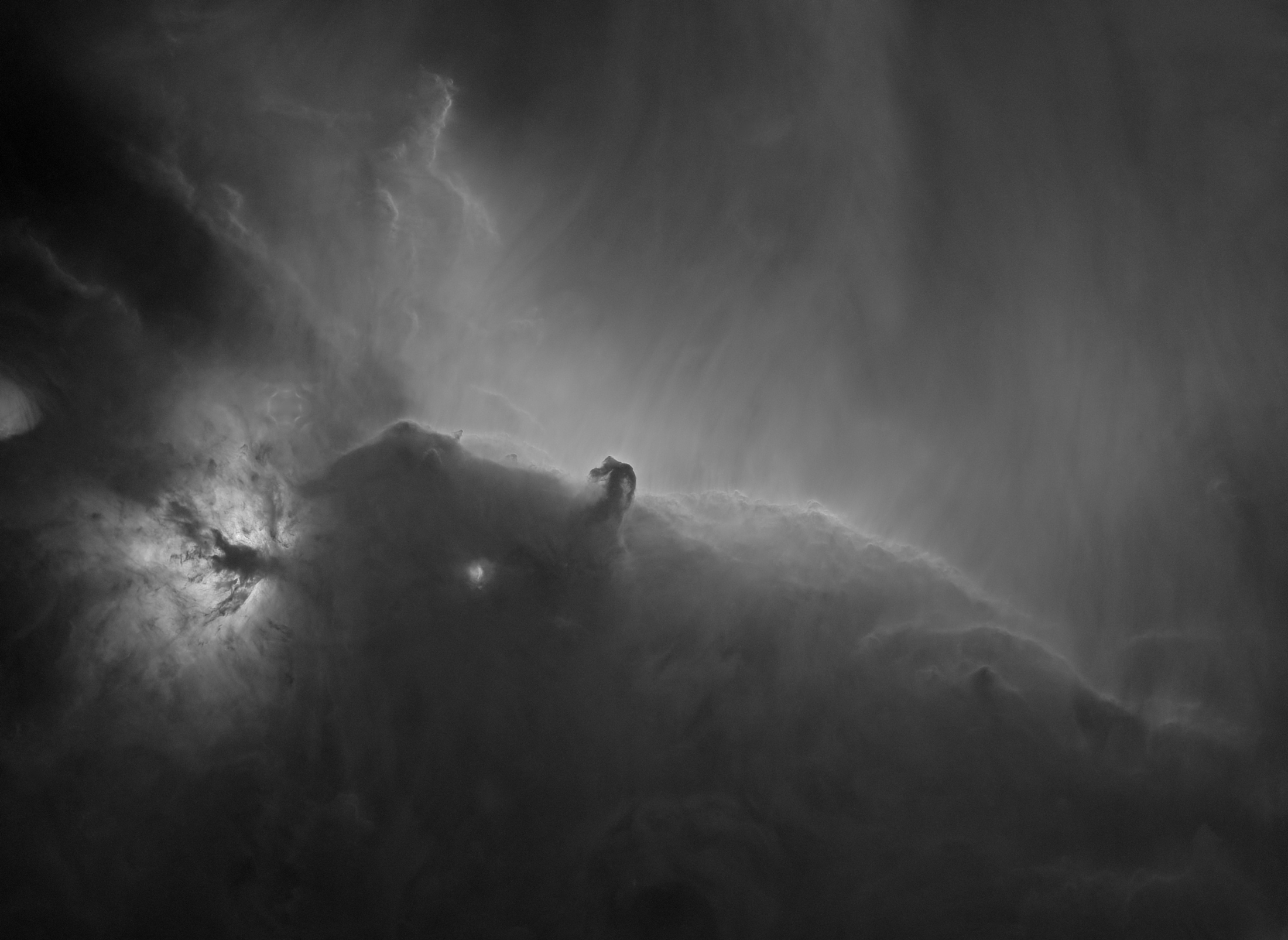 horsehead_starless_resample.jpg
