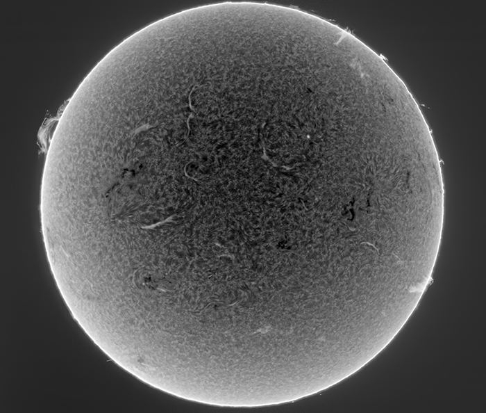 I3 inv-FF crp 800 JG.jpg