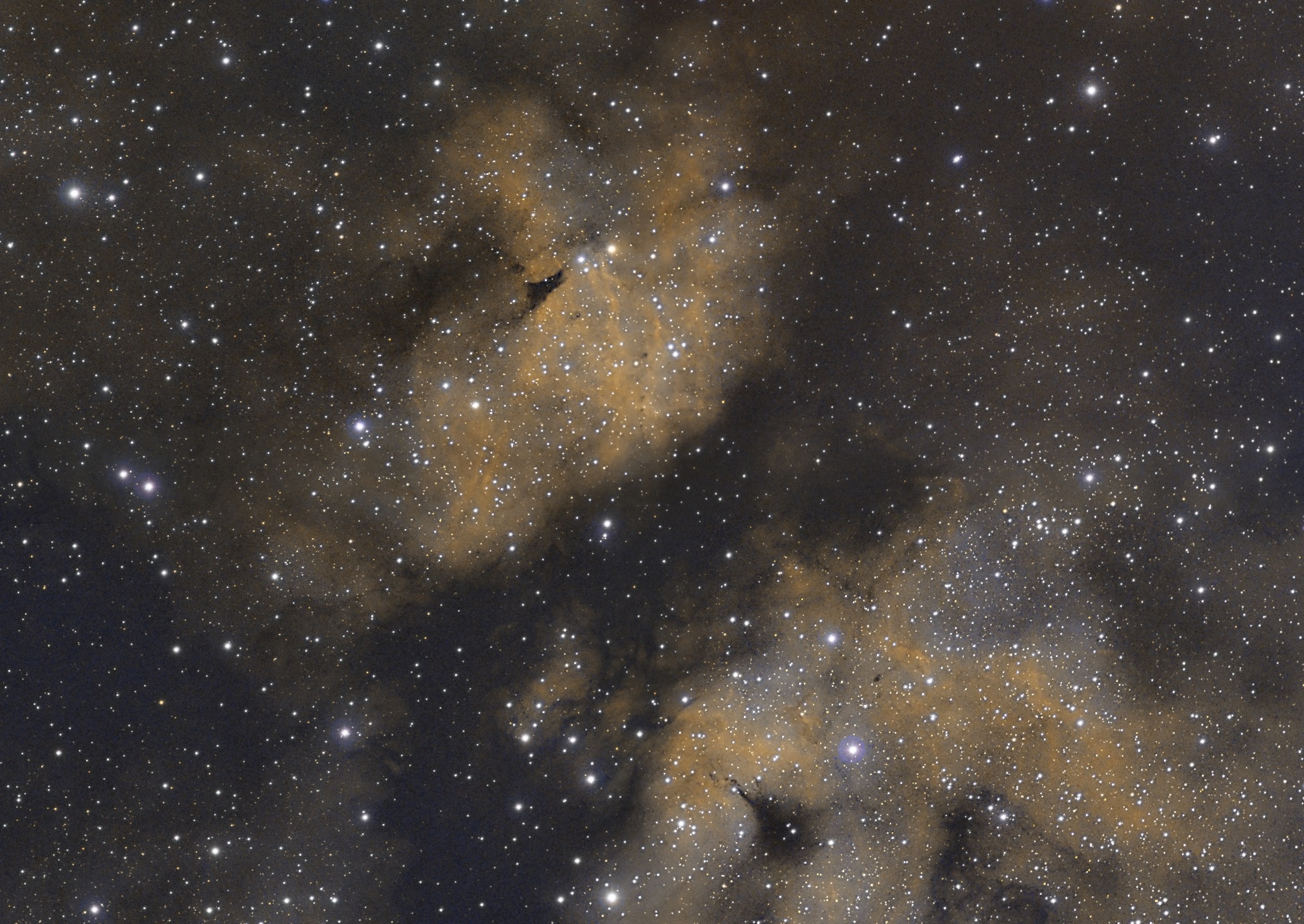 IC1318-forWeb.jpg