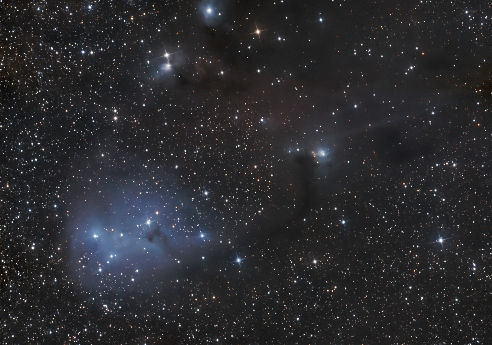 IC2169 region_OSC.jpg