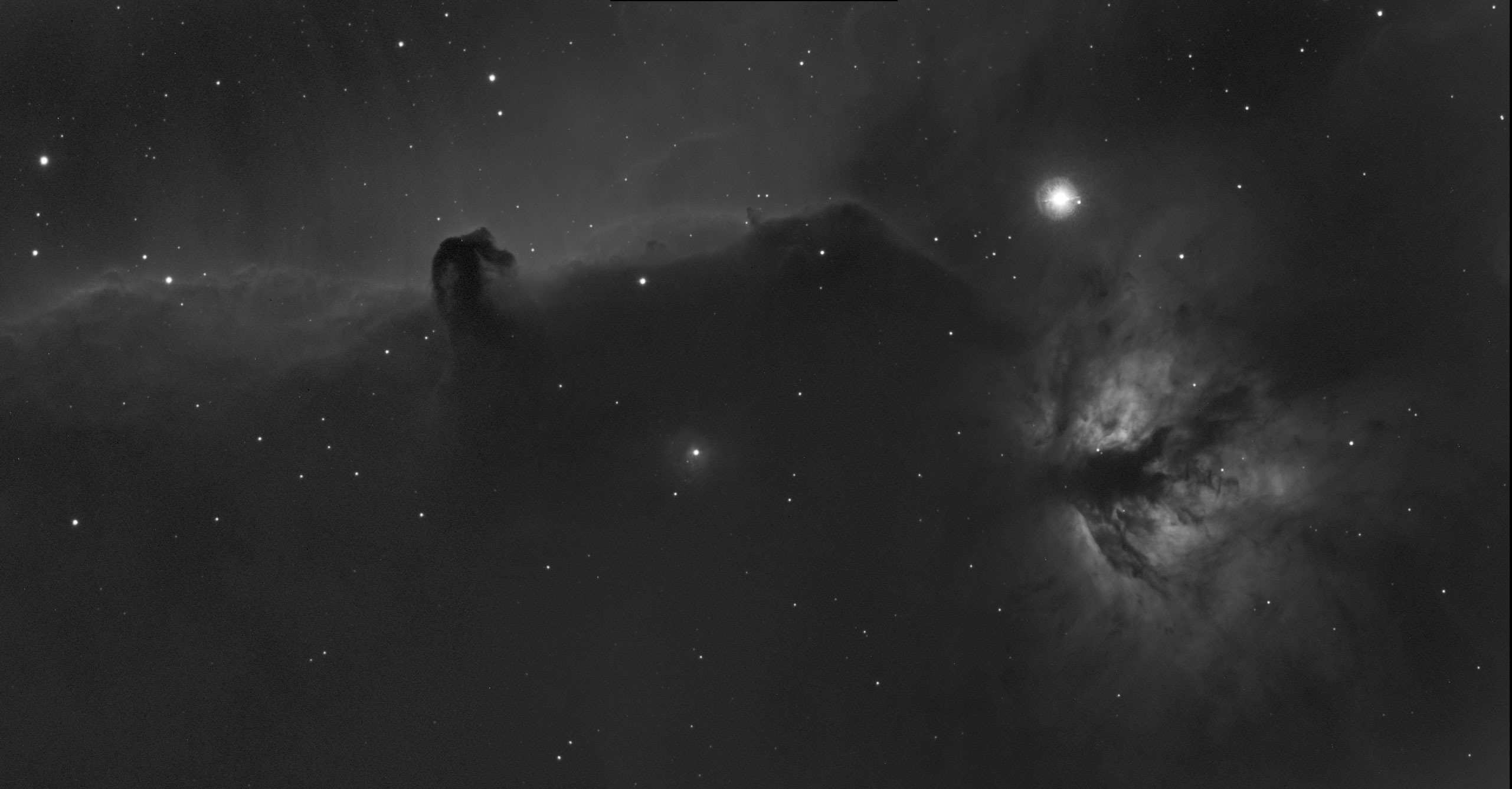 Image1.jpg