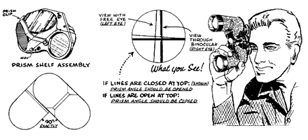 images 3.gif