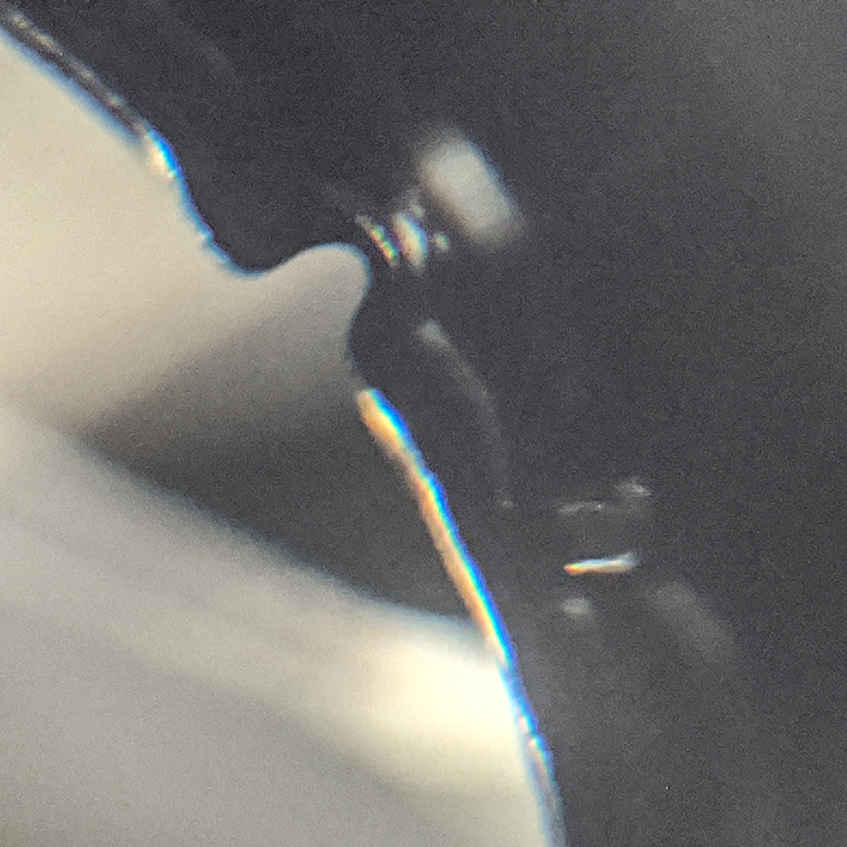 IMG_20200810_120018.jpg