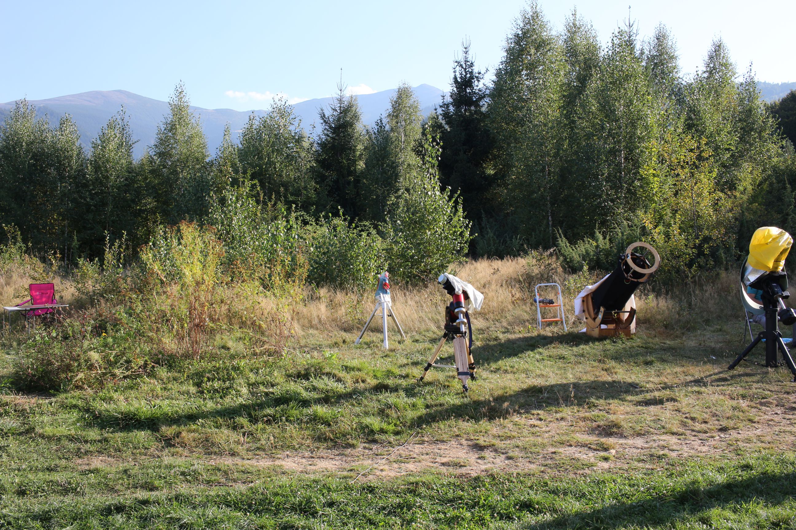 IMG_4882.jpg