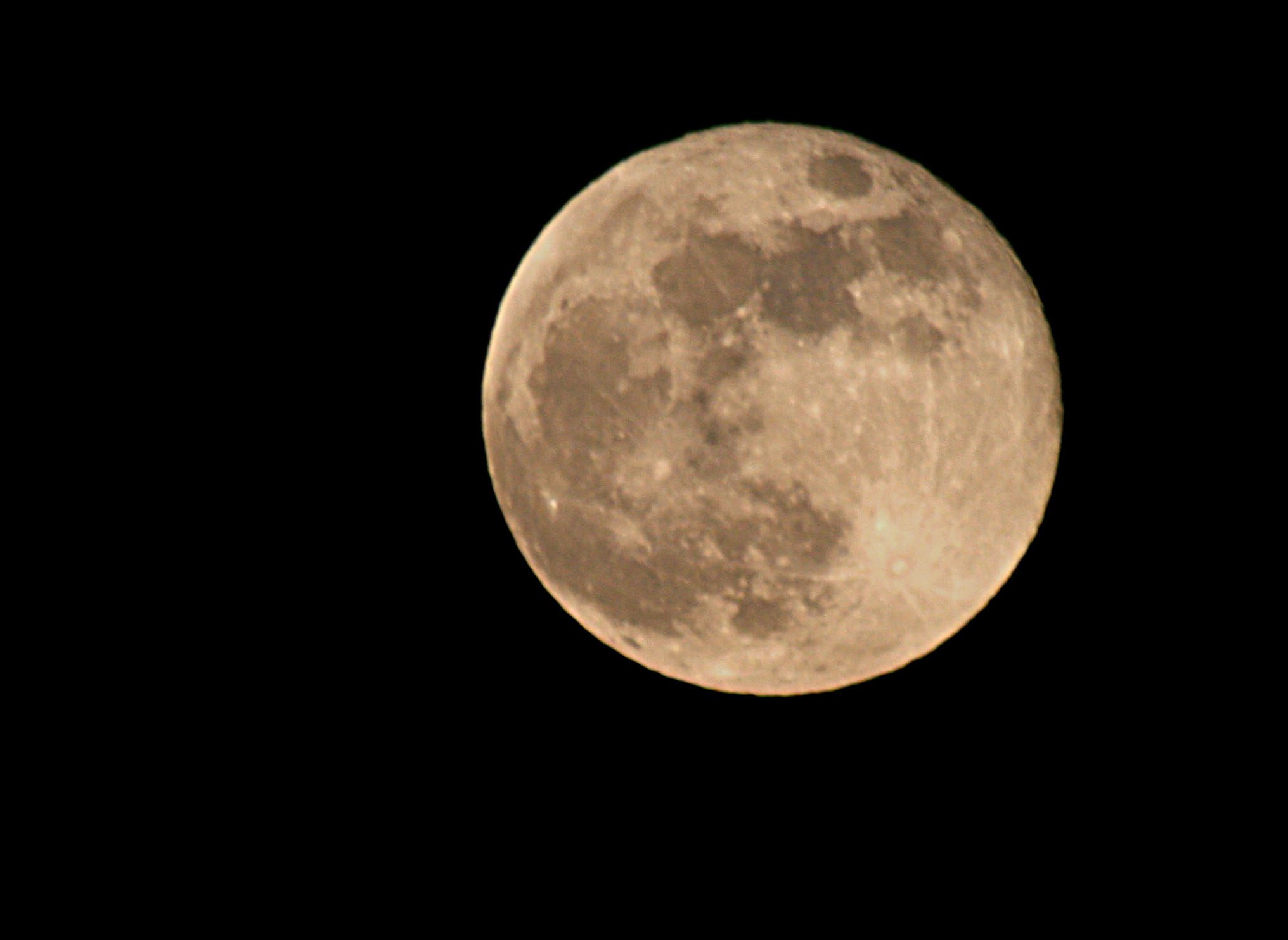 IMG_5528 copy1.jpg