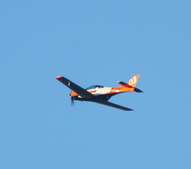 IMG_6636.jpg