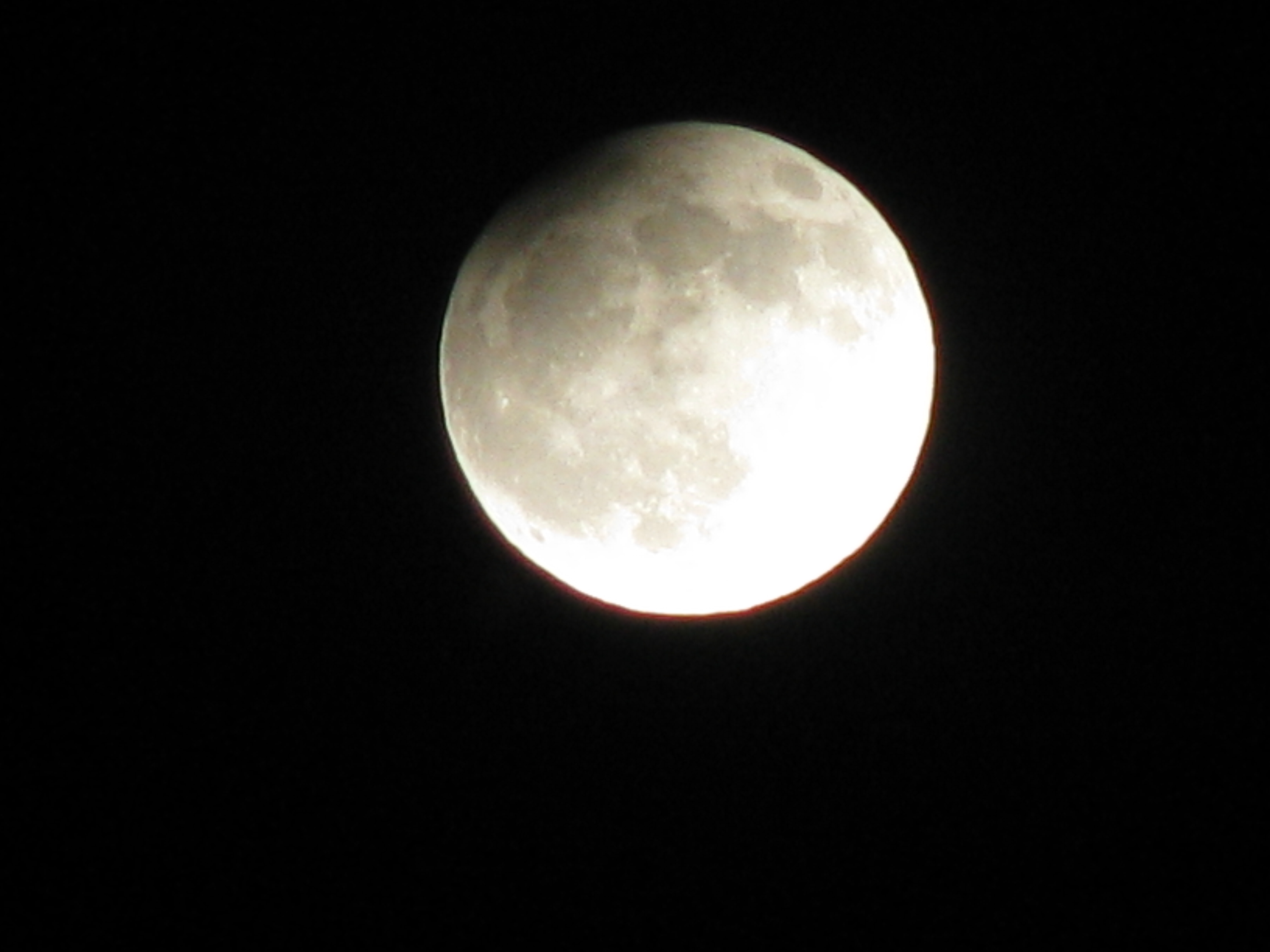 IMG_7478.JPG