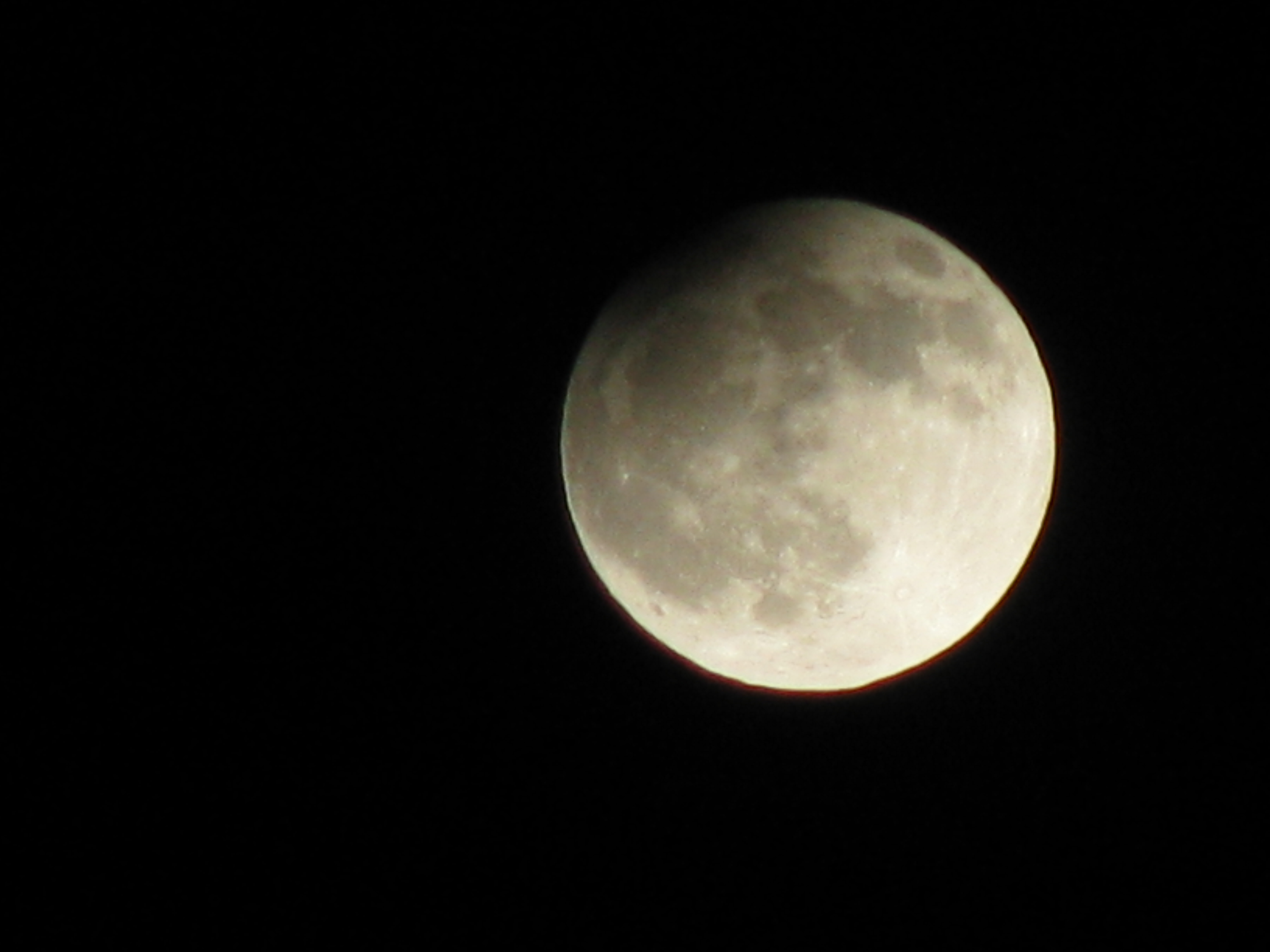 IMG_7481.JPG