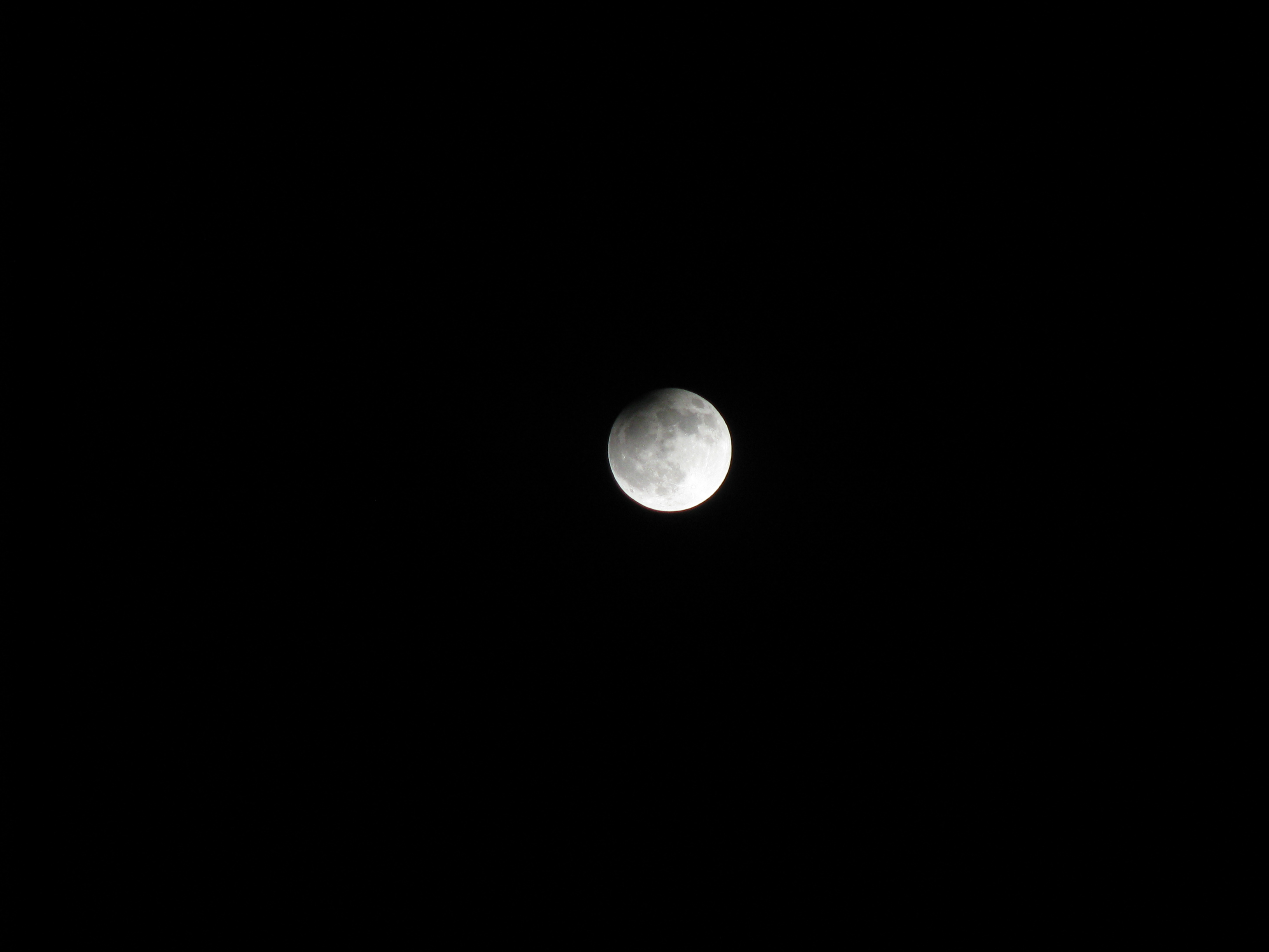 IMG_7485.JPG