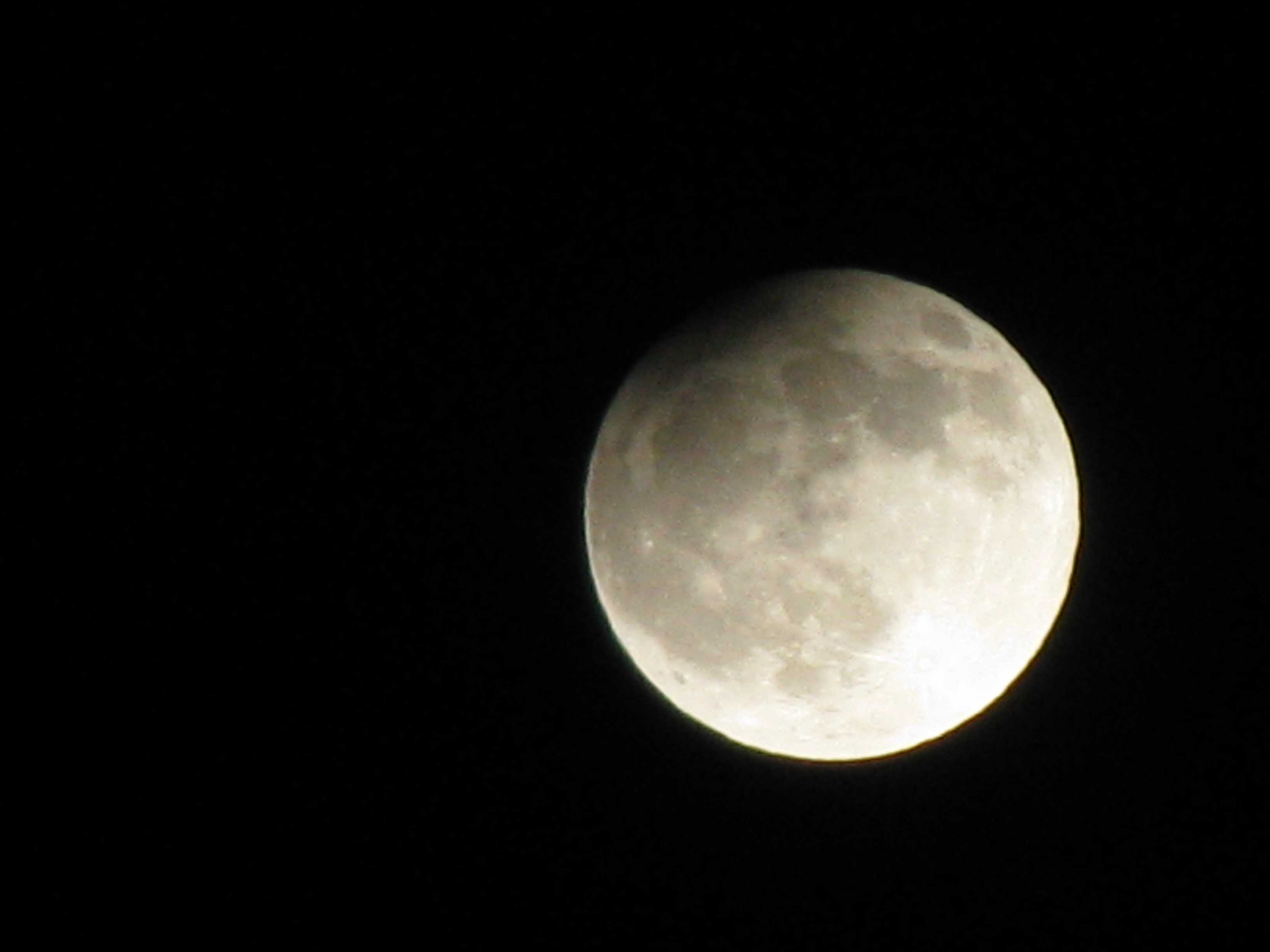 IMG_7489.JPG