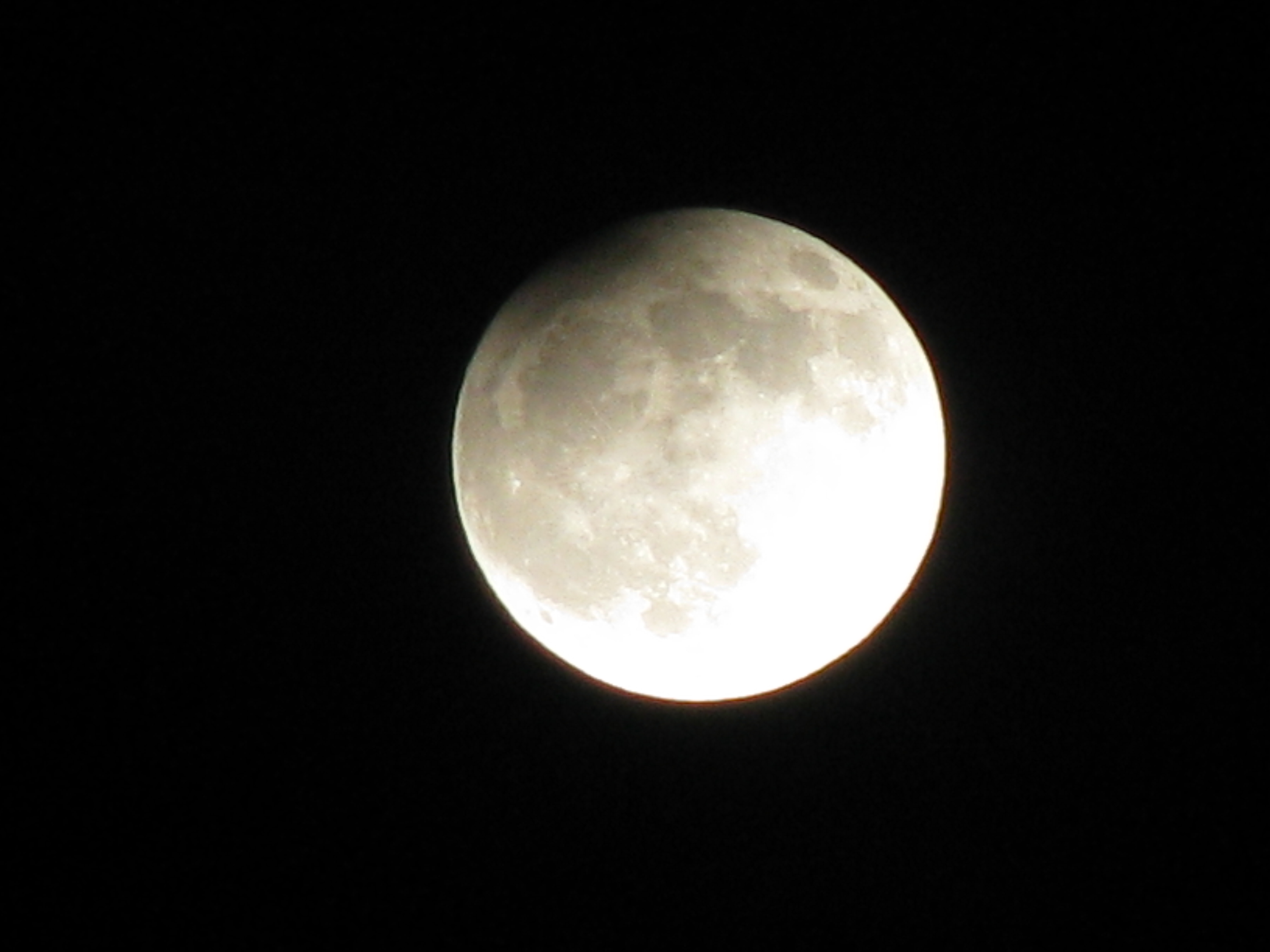 IMG_7491.JPG