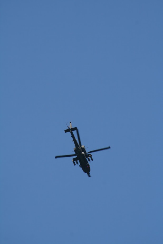 IMG_9329.JPG