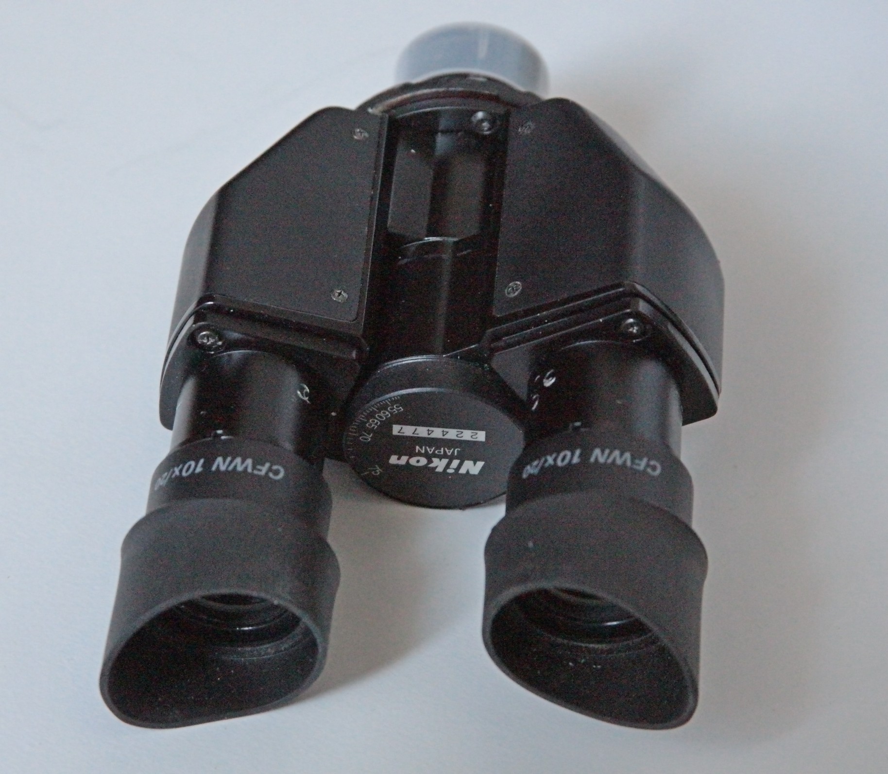 IMGL9702.jpg