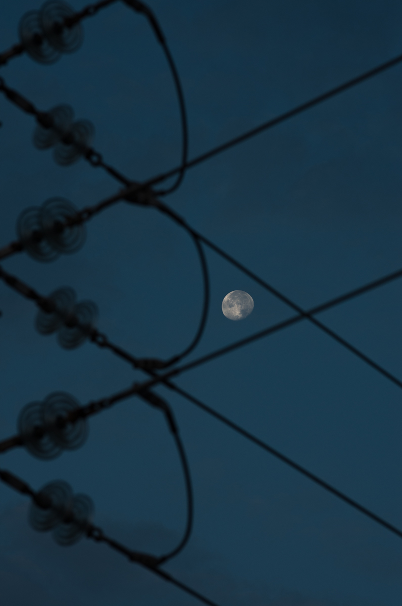 IMGP9390.jpg