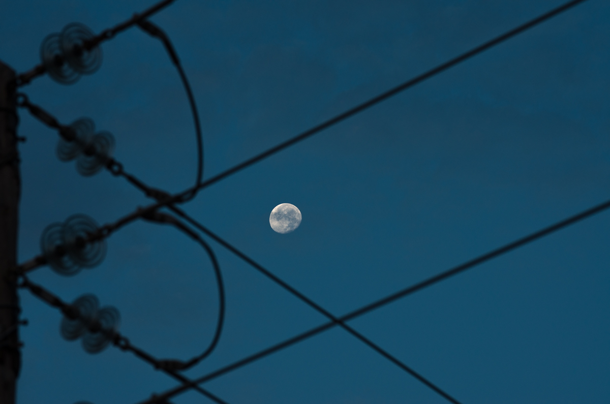 IMGP9391.jpg