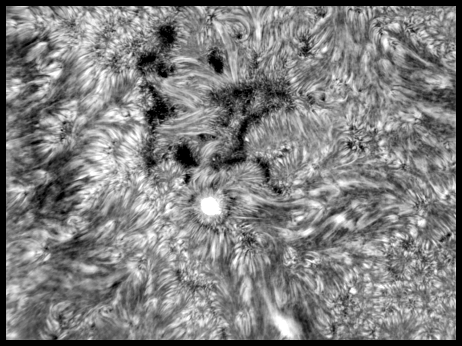 Inv PS1 BD red JG.jpg