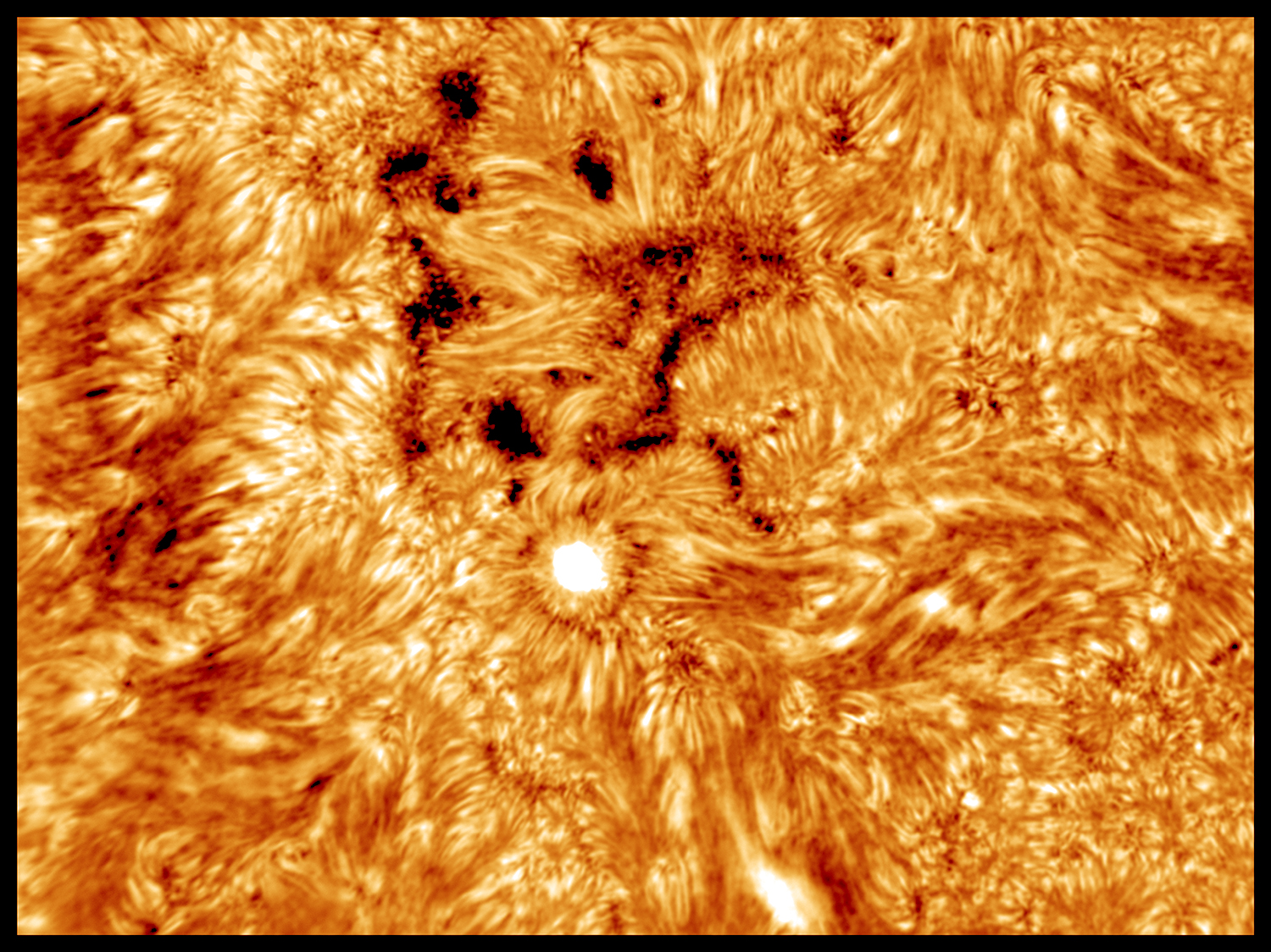 Inv PS1 BD red JG col.jpg