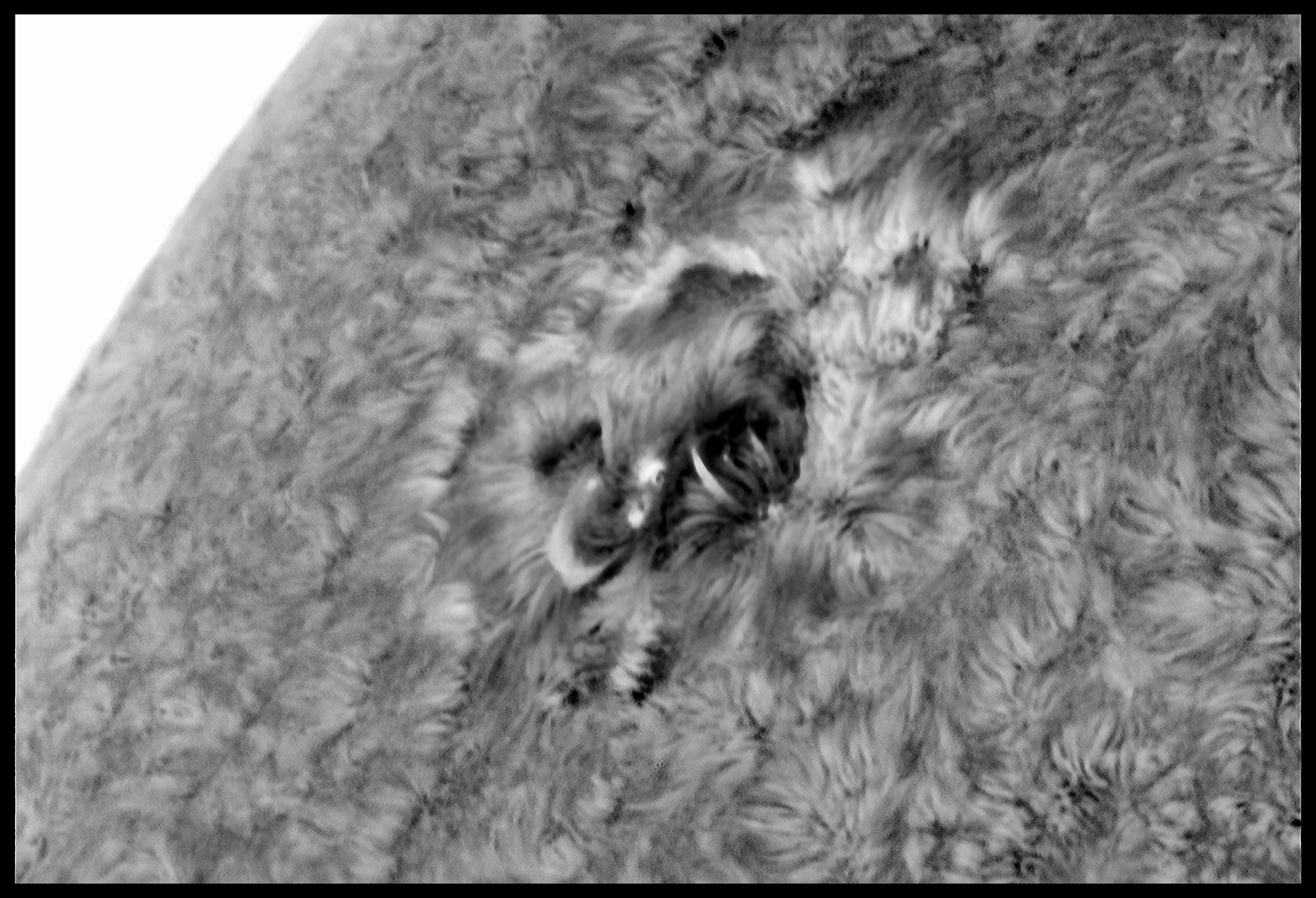 Invert PS1 JG red.jpg