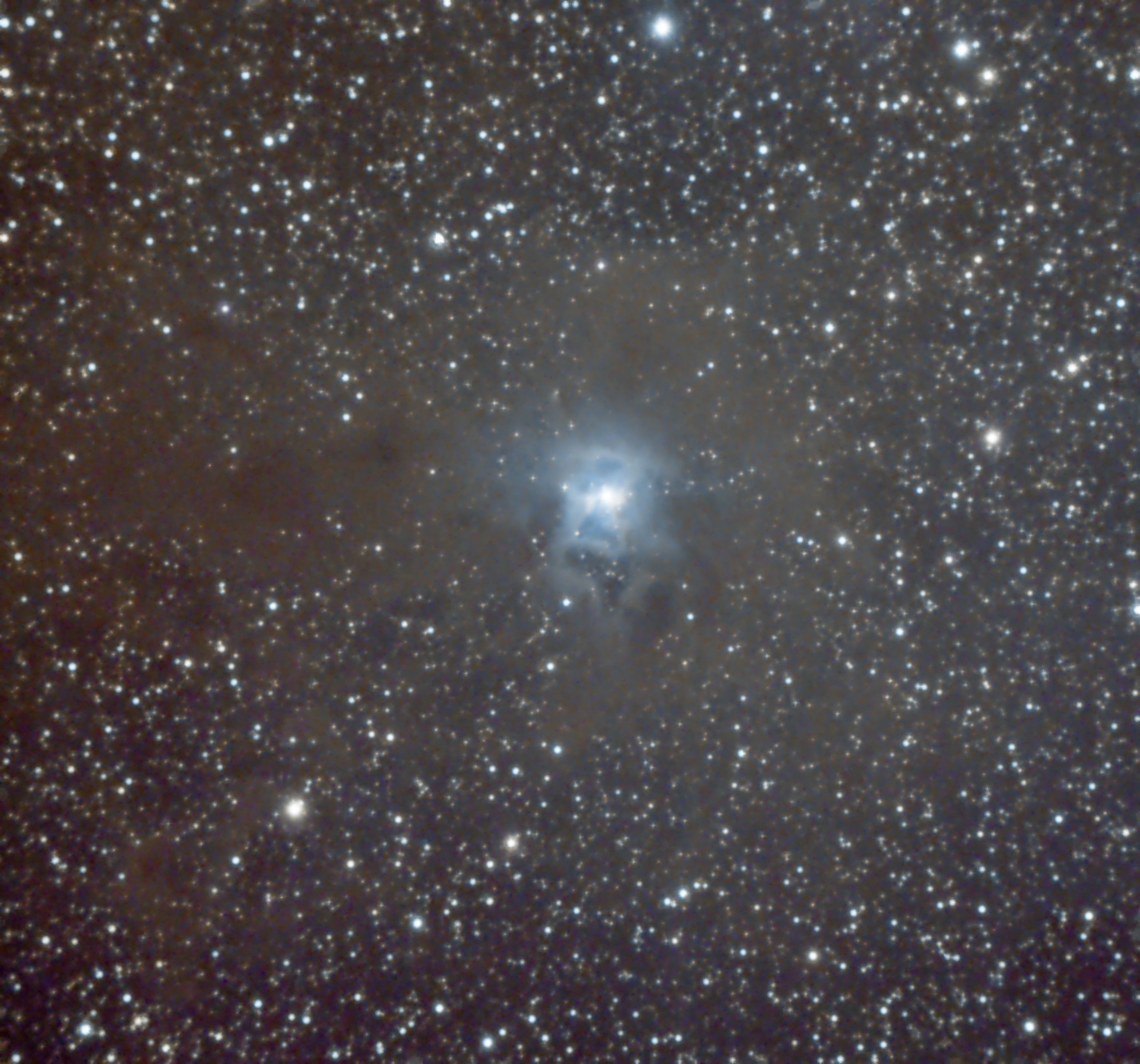 iris_8x30023x180_pi_st_final_139.jpg